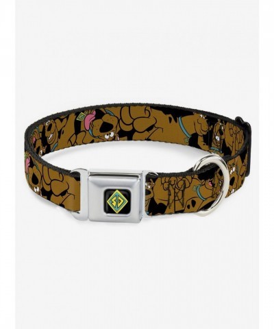 Scooby-Doo Authentic Seatbelt Buckle Collar for Dogs