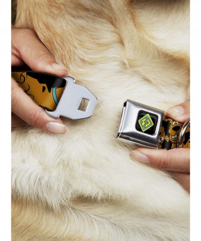 Scooby-Doo Authentic Seatbelt Buckle Collar for Dogs