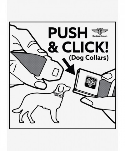 Scooby-Doo Authentic Seatbelt Buckle Collar for Dogs