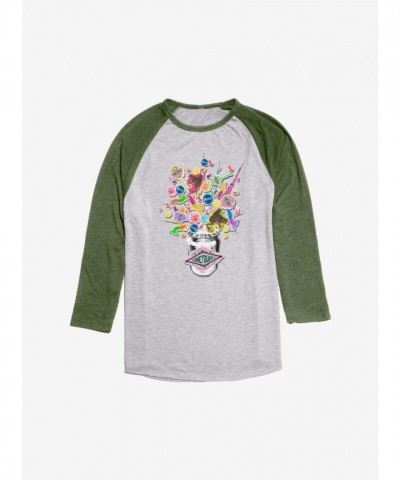 Harry Potter Inspired Green Honeydukes Candy Raglan Tee for Men