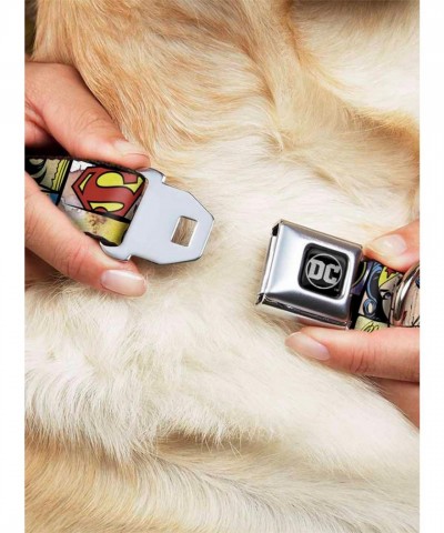 DC Comics Justice League Superheroines Seatbelt Dog Collar - USA Made