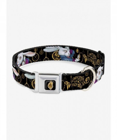 Disney Alice In Wonderland Seatbelt Buckle Dog Collar - Vibrant Artwork for Your Pet